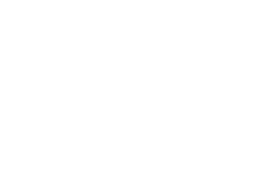 Importformat